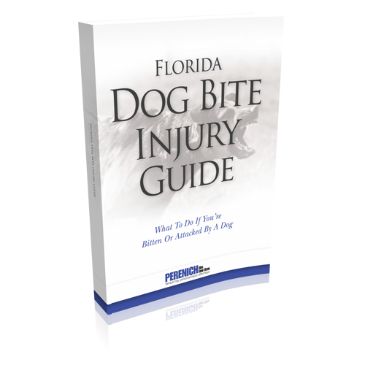 Florida Dog Bite Injury Guide